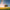 Text Image image 1