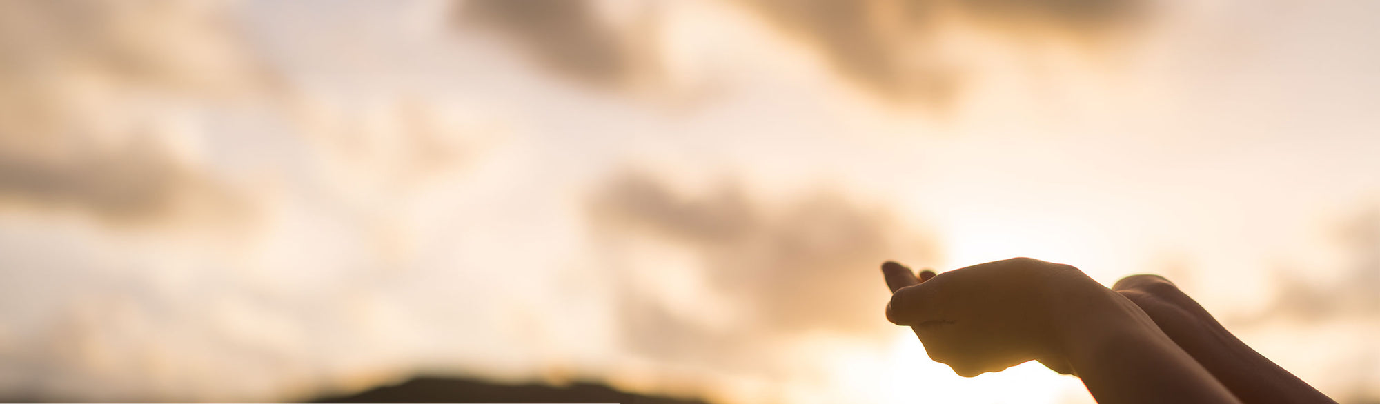 Banner bg image